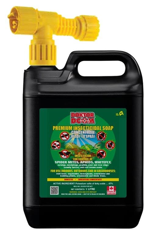 Doktor Doom Indoor/Outdoor Ready-to-Spray Premium Insecticidal Soap Concentrate, 1-L