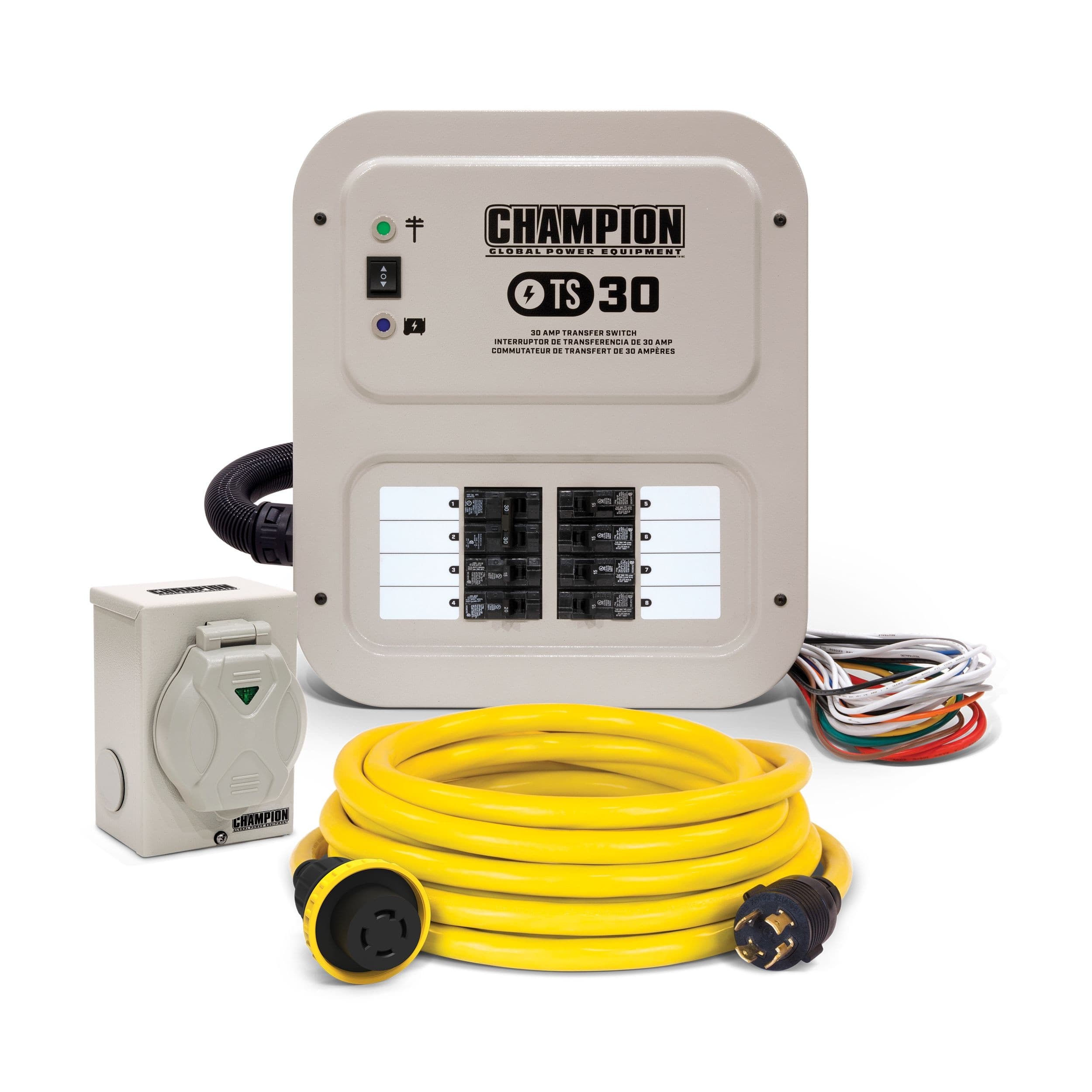Champion Power-Rated Manual Transfer Switch, 30A