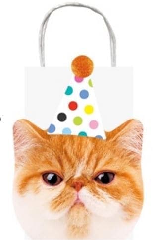 Cat Party Rectangle Paper Party Treat Bags, White/Orange, 7.5-in, 4-pk, for Birthday Party