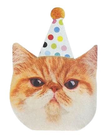 Cat Paper Disposable Lunch Napkins, Orange, 6.5-in,16-pk, 2-ply, for Birthday Party