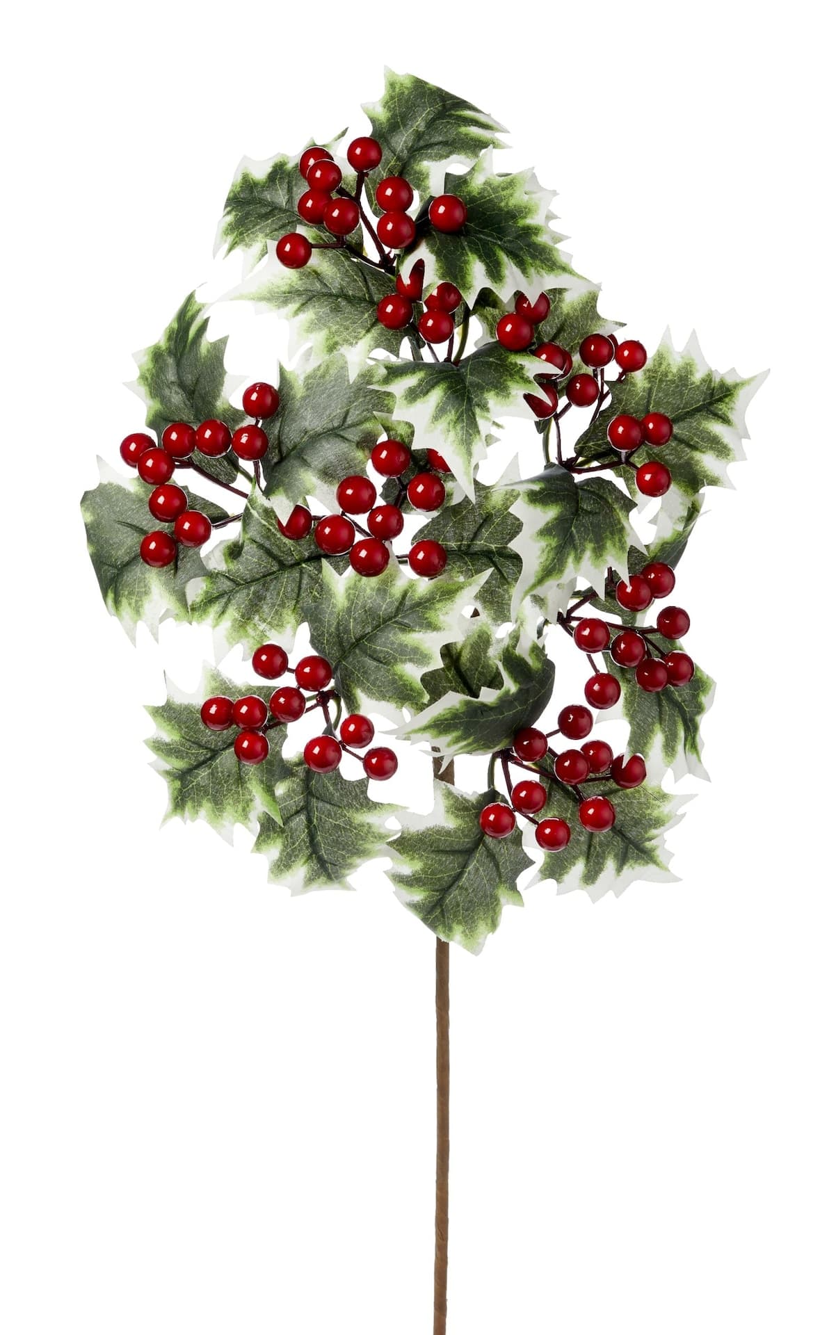 CANVAS Holly & Berries Spray