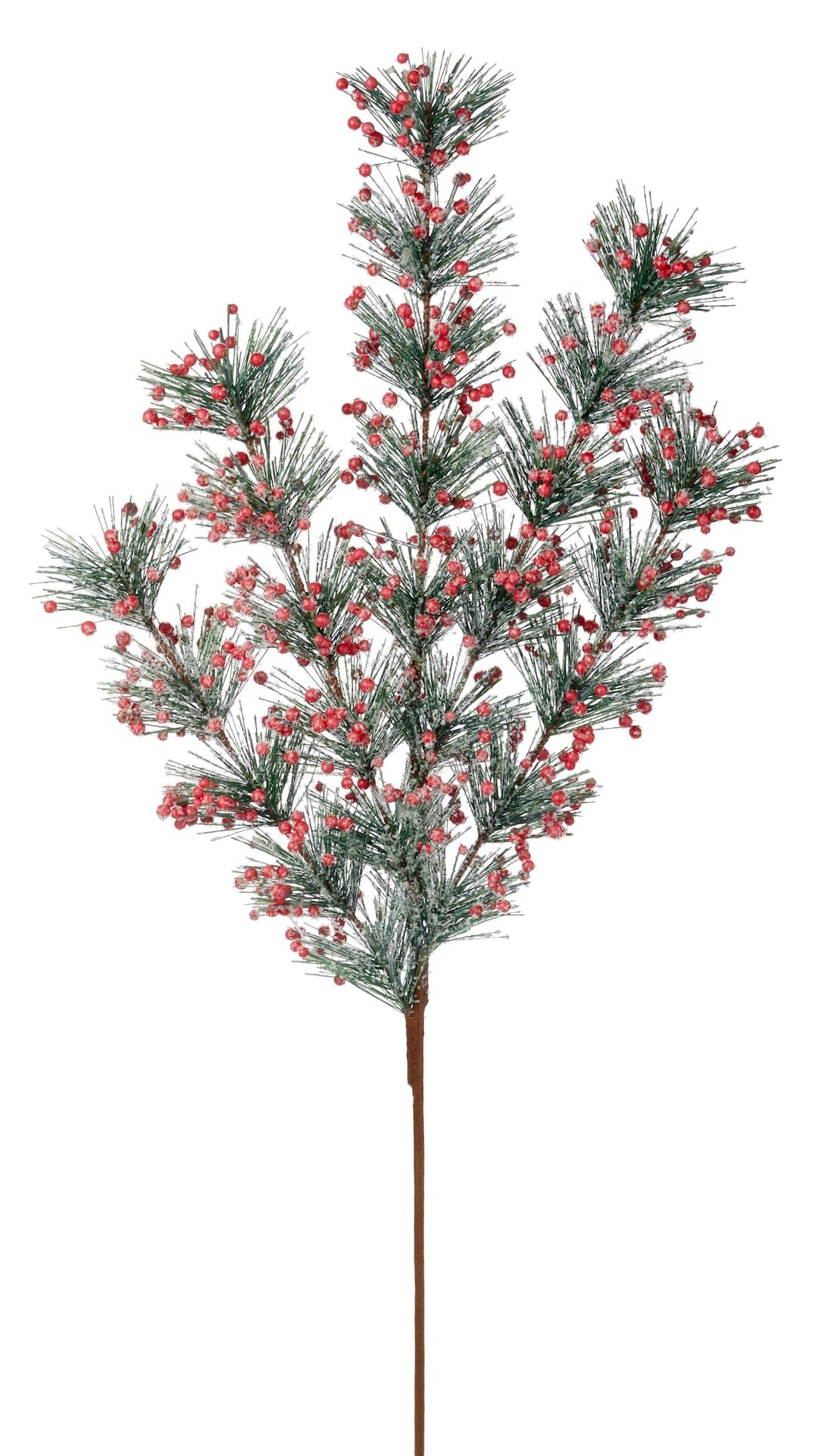 CANVAS Pine Stem with Berries Spray