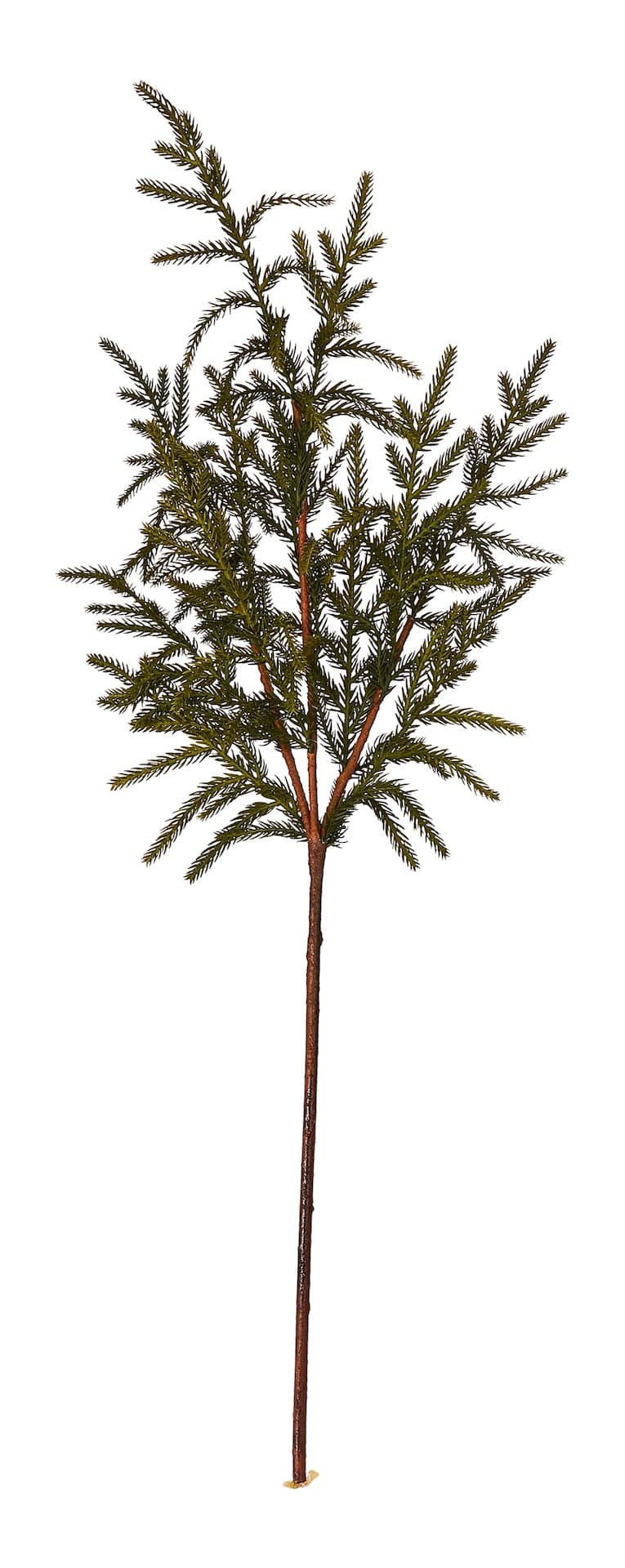 CANVAS Un-Lit Indoor Christmas Decoration Natural Pine Stem Spray, 36-in
