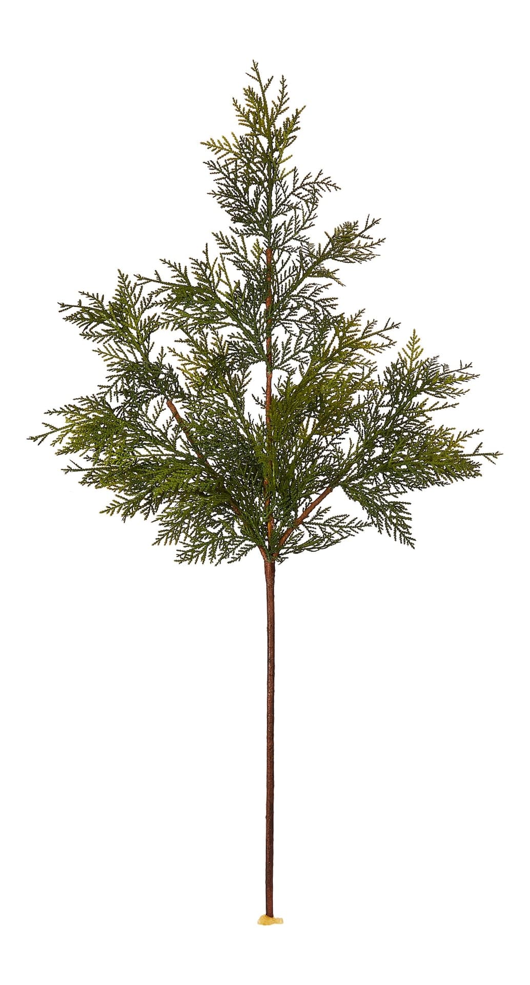 CANVAS Un-Lit Indoor Christmas Decoration Natural Cedar Stem Spray, 36-in