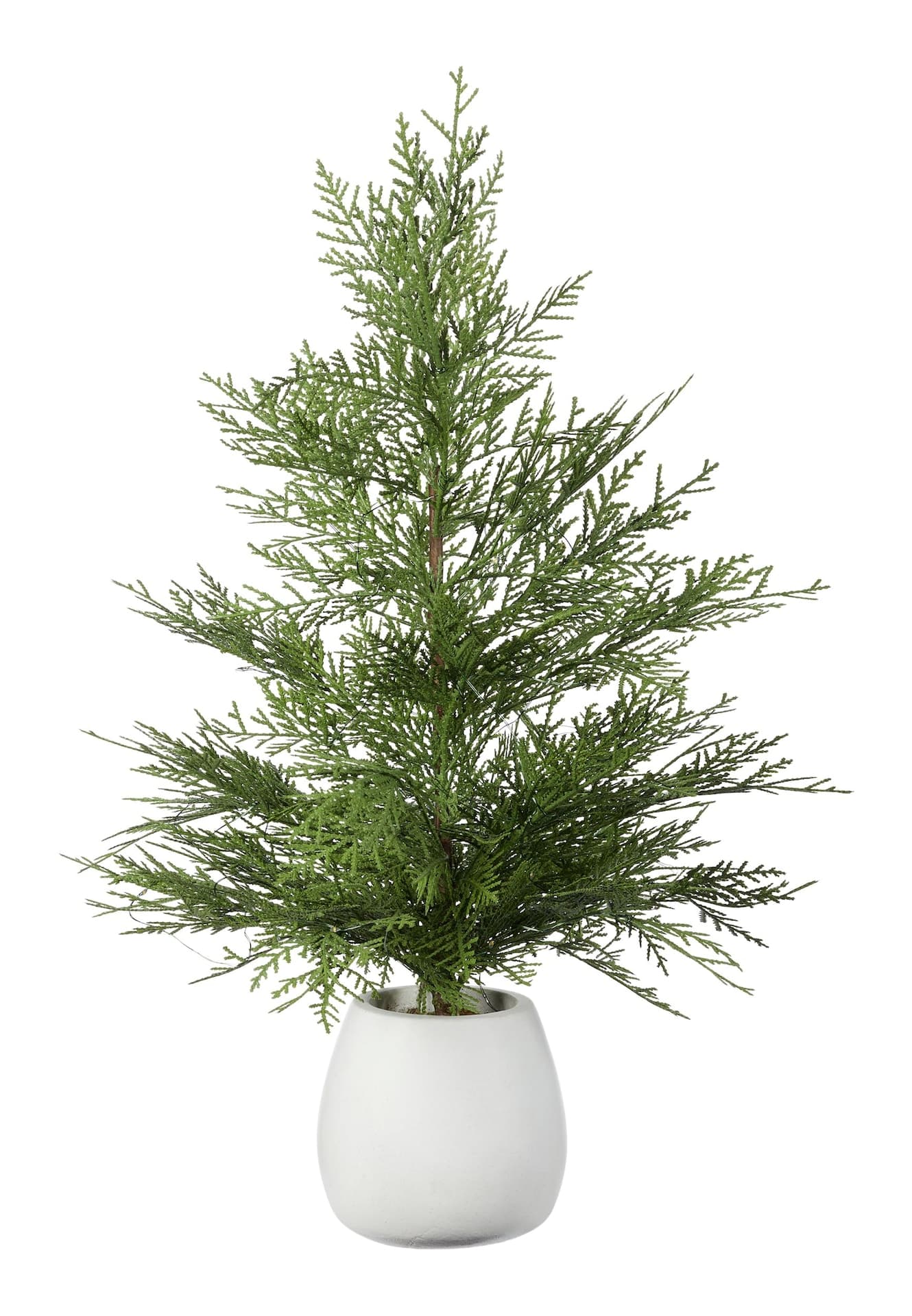 CANVAS Pre-Lit Tabletop Cedar Tree in White Ceramic Pot, 24-in