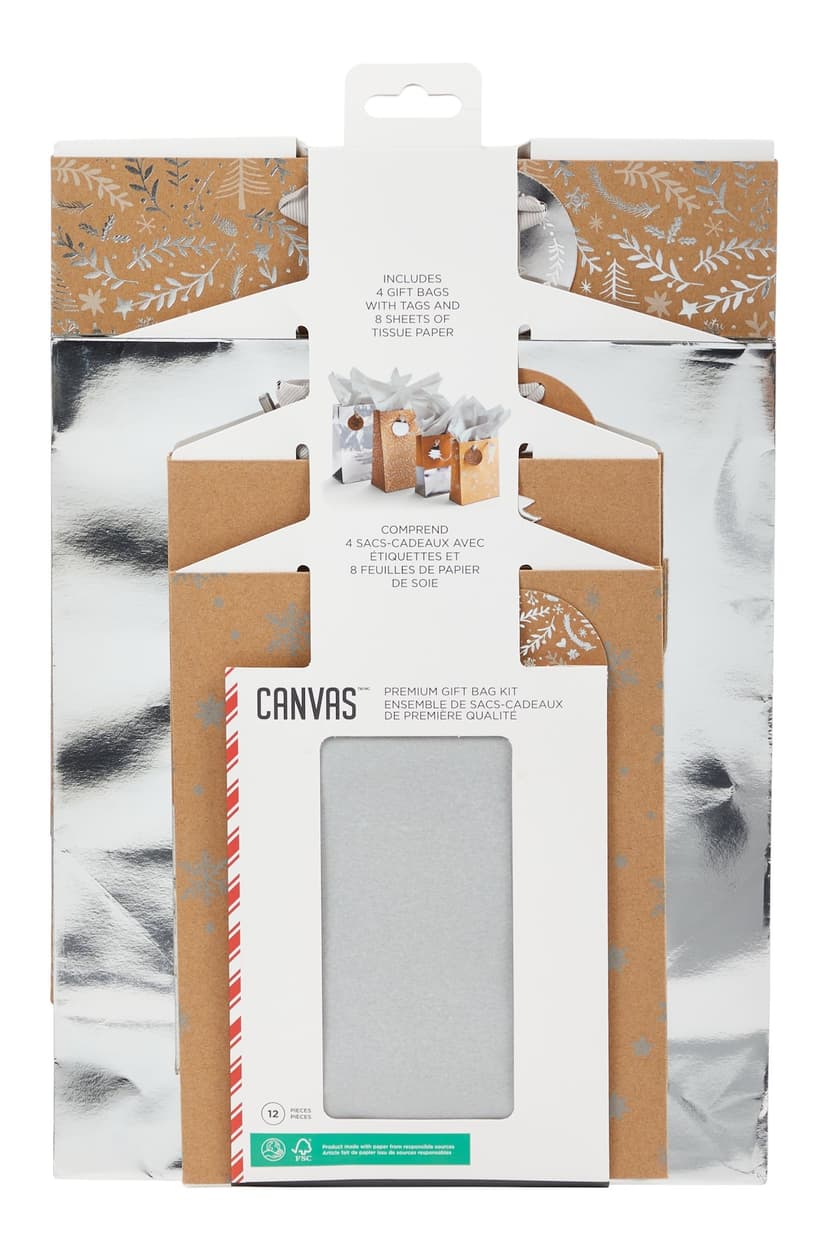 CANVAS Holiday Gift Bag Kit, 4 Bags with Tissue Paper and Tags, Silver Frost