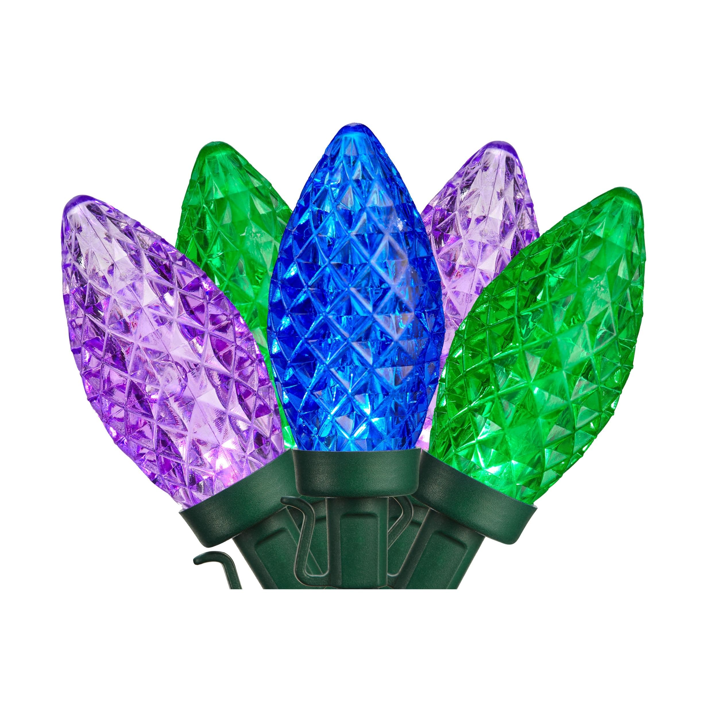 NOMA WinterGuard Outdoor C9 LED, Purple/Blue/Green, 4.9-m, 24-pc