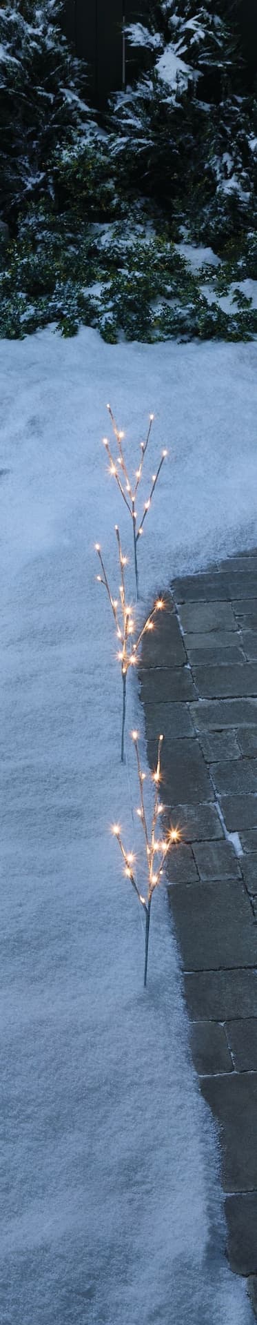 CANVAS Twinkling Birch Stake Lights with Built-in LEDs, 3-pk