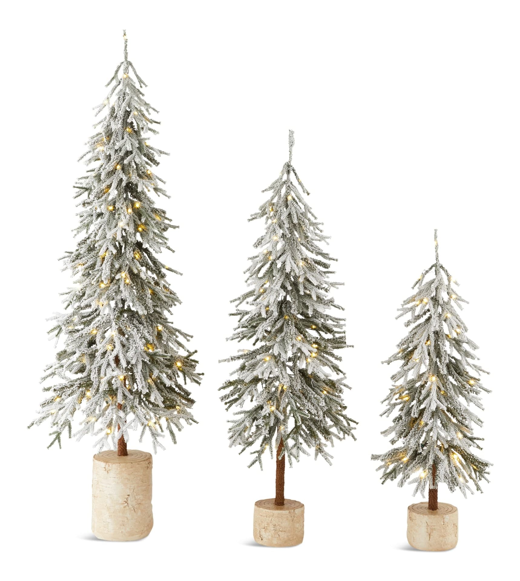 CANVAS Pre-Lit Flocked Downswept Potted Trees, 3-pk