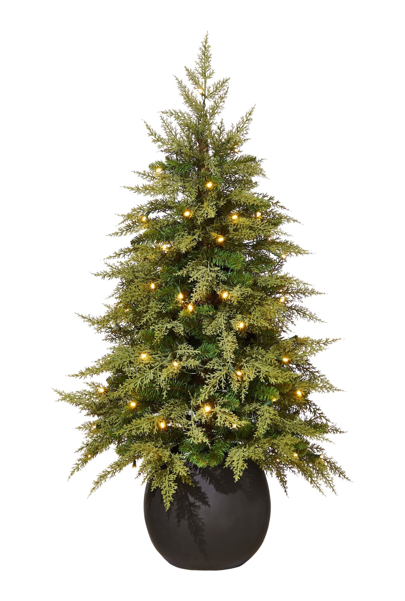 CANVAS Pre-Lit Indoor Cypress Potted Christmas Tree, 70 LED Lights, 4-ft