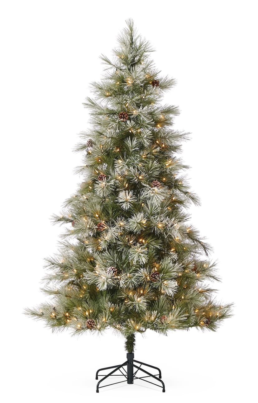 CANVAS Pre-Lit Charlotte Snow-Dusted Pine Tree, 350 Warm White LED Lights, 7-ft