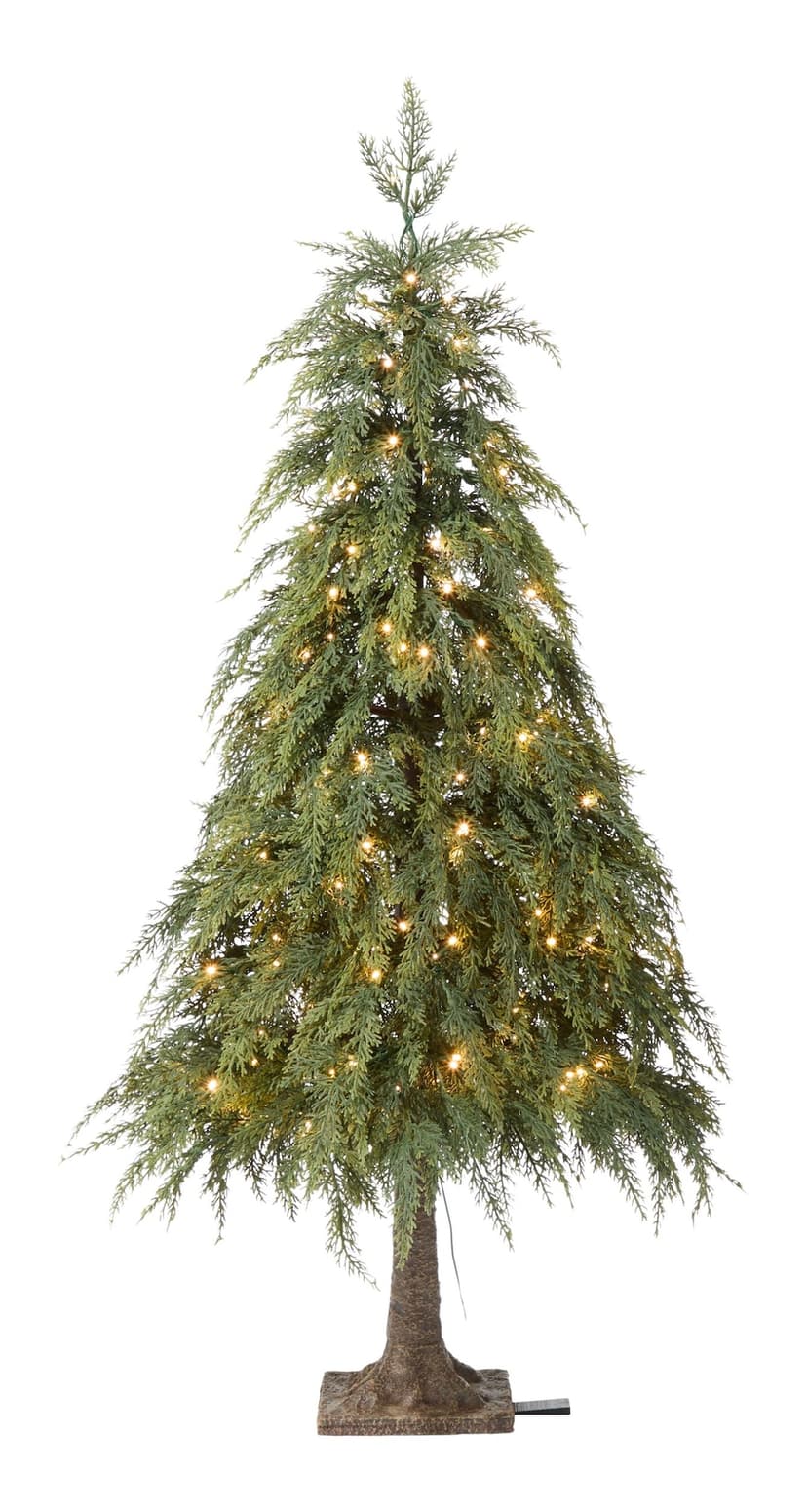 CANVAS Pre-Lit Indoor Ashford Cedar Potted Christmas Tree, 200 Twinkle LED Lights, 4-ft