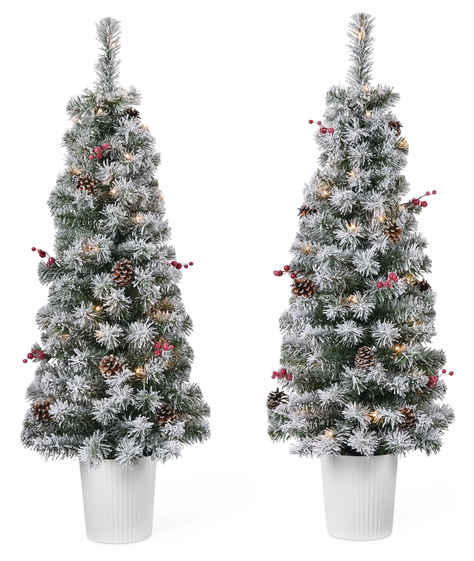 NOMA Pre-Lit Celeste Snow-Dusted Potted Christmas Tree, 35 Warm White LED Lights, 4-ft, 2-pk