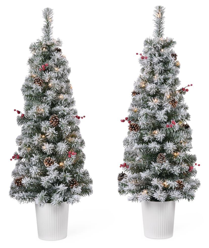 NOMA Pre-Lit Celeste Snow-Dusted Potted Christmas Tree, 35 Warm White LED Lights, 4-ft, 2-pk